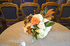 A CELERATION OF LIFE